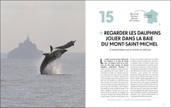 Les plus beaux lieux pour voir la vie sauvage en France