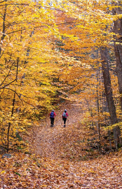 Les longues randonnées du Québec - 25 parcours de 2 jours et plus pour sévader en toutes saisons