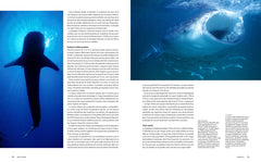 Le tour du monde en 80 plongées (petit format)