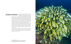 Le tour du monde en 80 plongées (petit format)