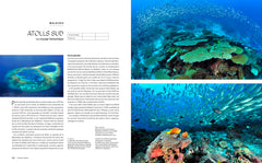 Le tour du monde en 80 plongées (petit format)