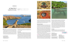 Le tour du monde en 80 plongées (petit format)