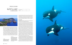 Le tour du monde en 80 plongées (petit format)