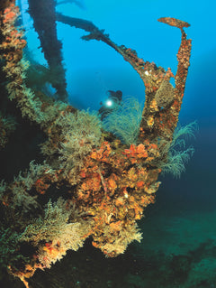 Plonger dans les mers du monde