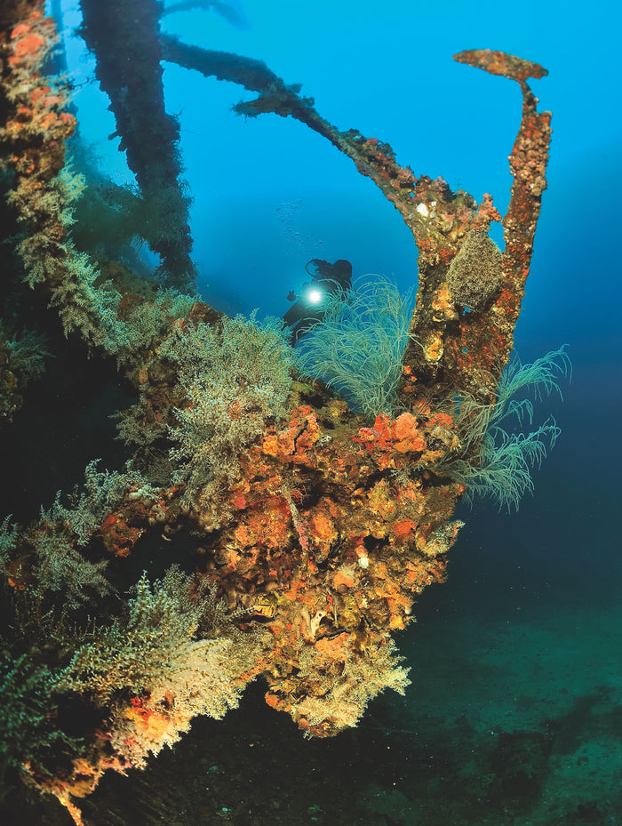 Plonger dans les mers du monde