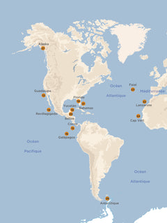 Plonger dans les mers du monde