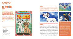 100 Séries d'Animation Japonaises