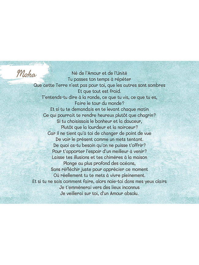 Méditations de chats