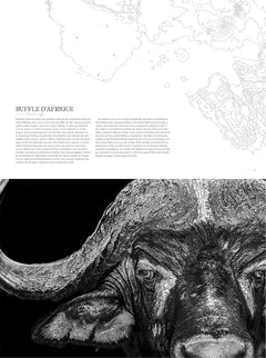 la sixième extinction