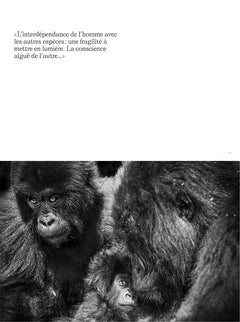 la sixième extinction