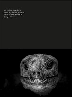 la sixième extinction