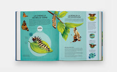 Petits champions de la nature