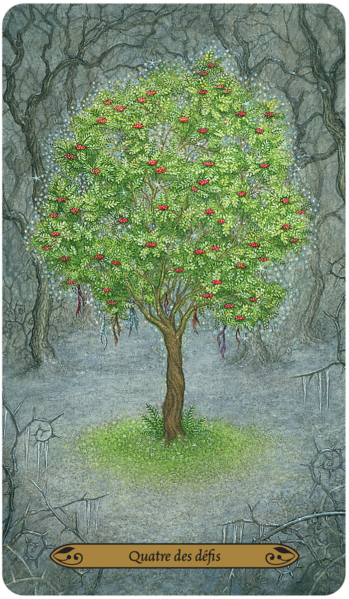 Le tarot des esprits de la forêt enchantée