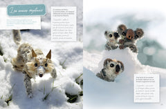 Le land-art de poche - Des êtres de nature