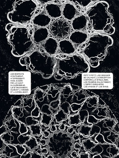 Doctor Ayahuasca