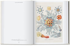 L’art et la science de Ernst Haeckel