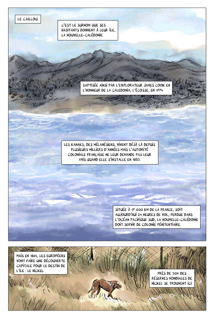 Mémoires de viet kieu