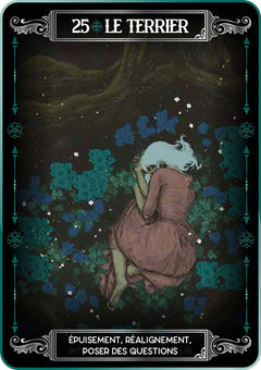 Coffret Earth and Bone - Cartes Oracle