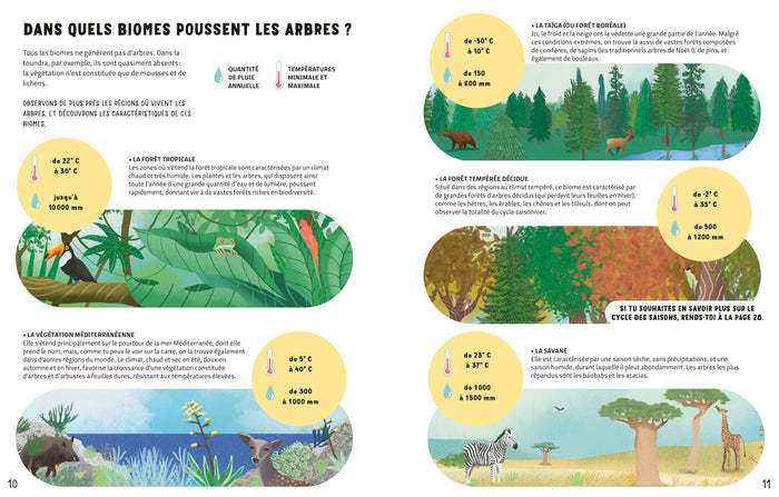 La vie secrète des arbres