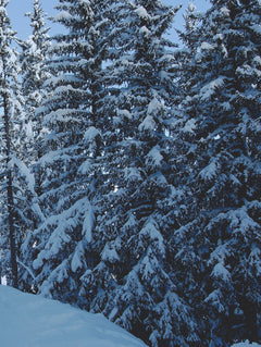 Le Chabichou Courchevel