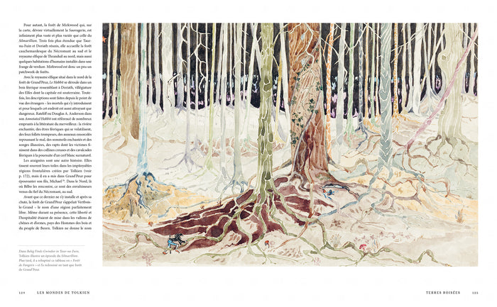 Les mondes de Tolkien
