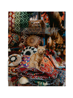 Les chats du monde