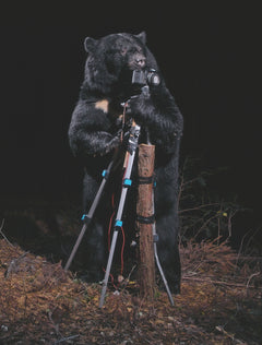 Ours