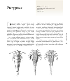 Le grand atlas de l'évolution animale