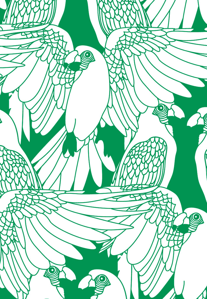 Cahier de coloriage JCDC