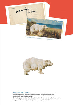 Cahier de collage et de coloriage