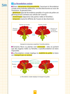 Objectif BAC Fiches Tout-en-un Tle Spécialités Physique-chimie et SVT + Philo + Grand oral