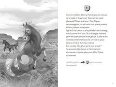 Tu es le héros ! Dans la peau d'un mustang