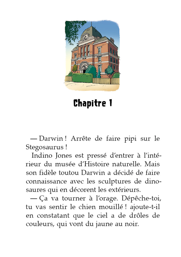 Les dinosaures en BD - Poche - tome 01: Jurassic couac