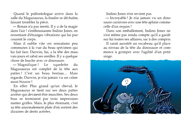 Les dinosaures en BD - Poche - tome 01: Jurassic couac