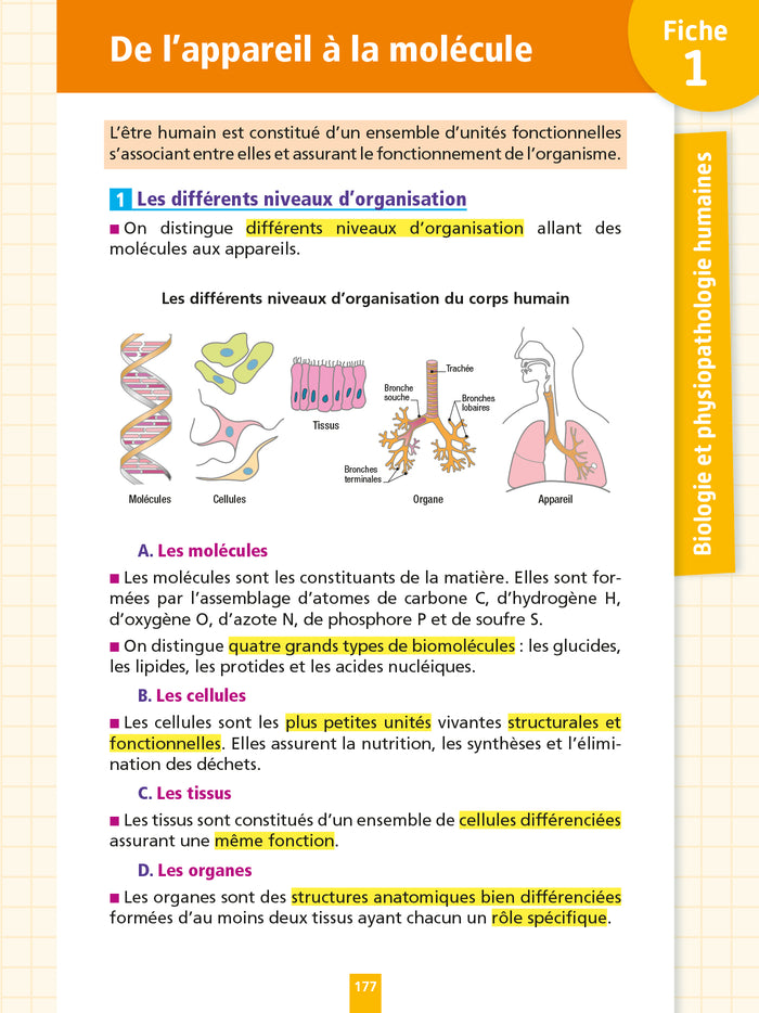 Objectif BAC Fiches Tout-en-un 1re et Term ST2S