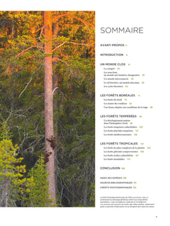 Forêts sauvages