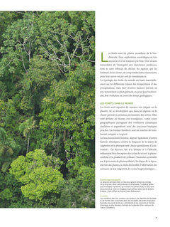 Forêts sauvages