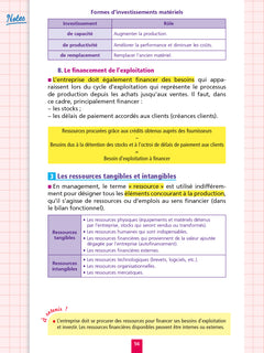 Objectif Bac - Fiches Tout-en-un 1re et Term STMG