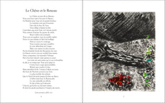 Les Fables de La Fontaine illustrées par Chagall (Coffret)