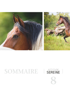 Cheval libre attitude