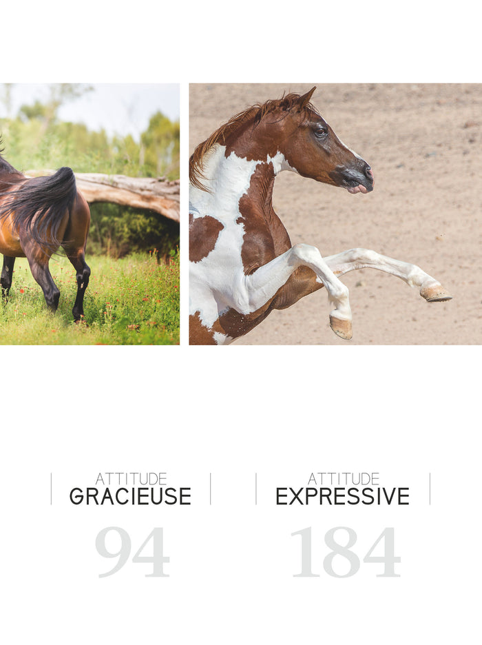 Cheval libre attitude