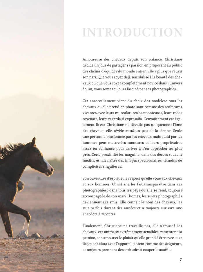 Cheval libre attitude