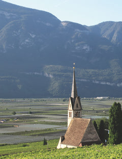 Vignes et vins, paysages et civilisations millénaires