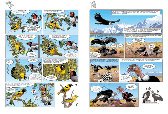 Les Oiseaux en BD - tome 02