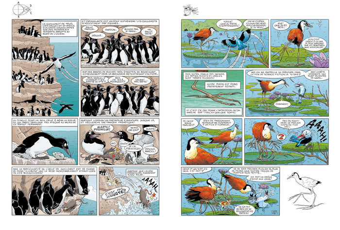 Les Oiseaux en BD - tome 02
