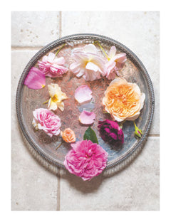 Roses vintage