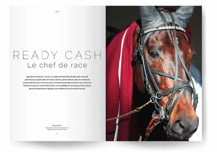 chroniques hippiques extraordinaires