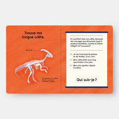 Quel est ce Dinosaure ?