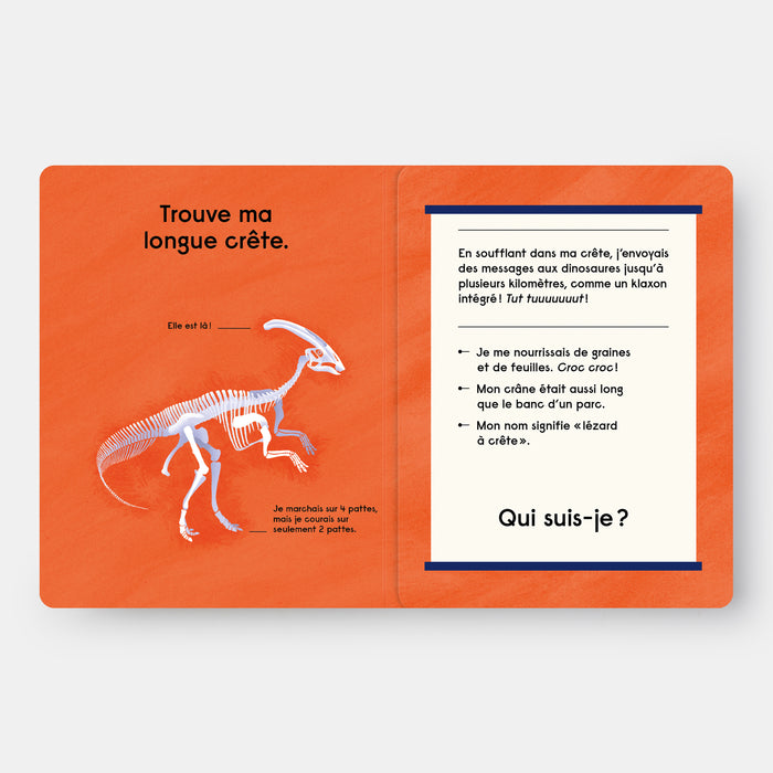 Quel est ce Dinosaure ?