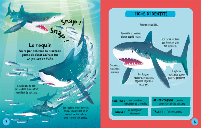 Je construis mes animaux marins en 3D